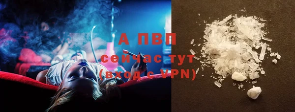 2c-b Бородино