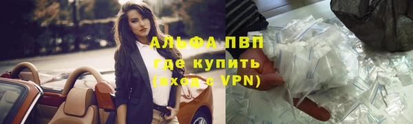 2c-b Бородино