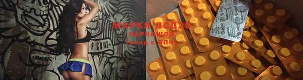 2c-b Бородино