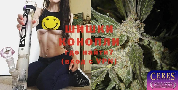 2c-b Бородино