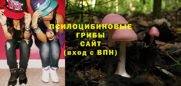 2c-b Бородино