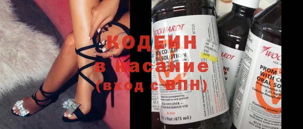 2c-b Бородино