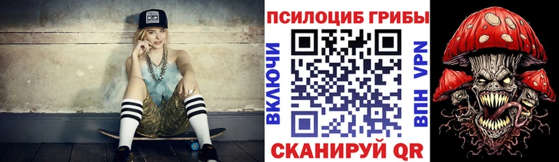 Псилоцибиновые грибы Psilocybine cubensis  даркнет Telegram  Новокубанск 